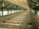 <b>Client:</b> Aluminium Bahrain (ALBA)<br><b>Usage:</b> ALBA Line 4 Expansion<br><b>Weight:</b> 14,500 MT<br><b>Job Site:</b> Bahrain